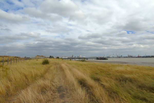 Dry grassland landscape at Footpath 47