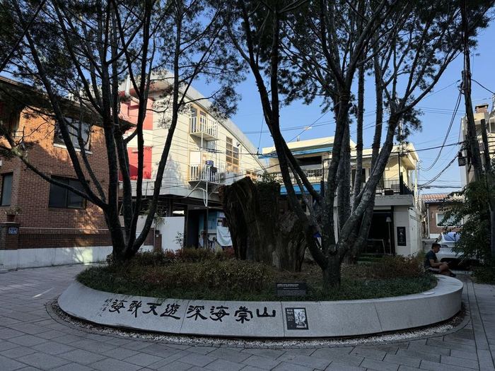 Seochon meeting place around a large tree