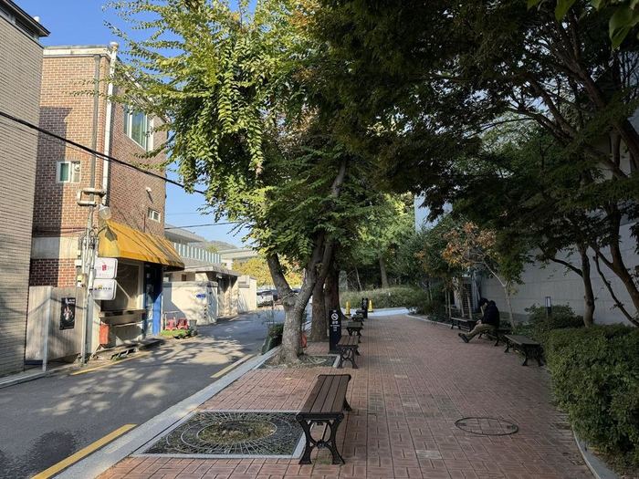 A tree-lined path in Seochon